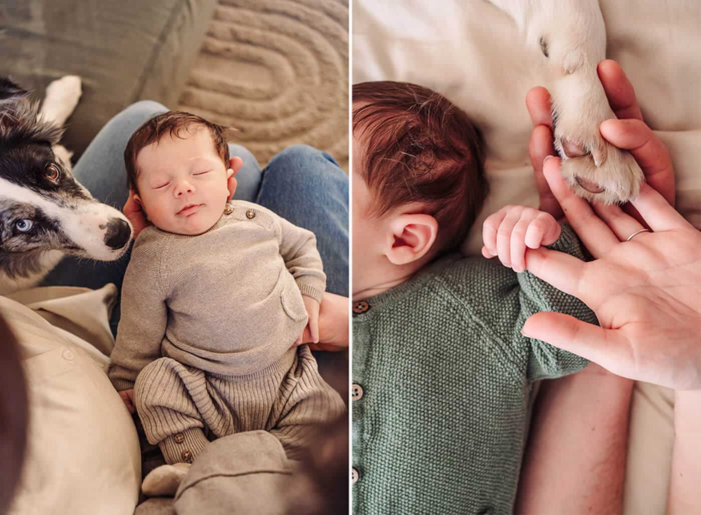 Newbornshoot-met-hond-Limburg