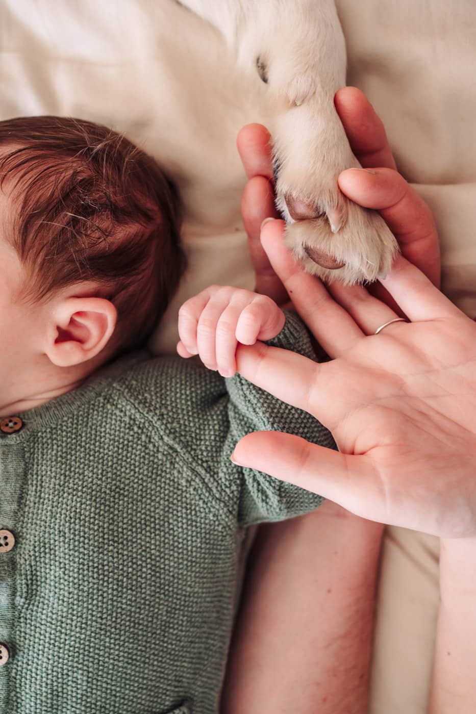 hond met newbornshoot aan huis