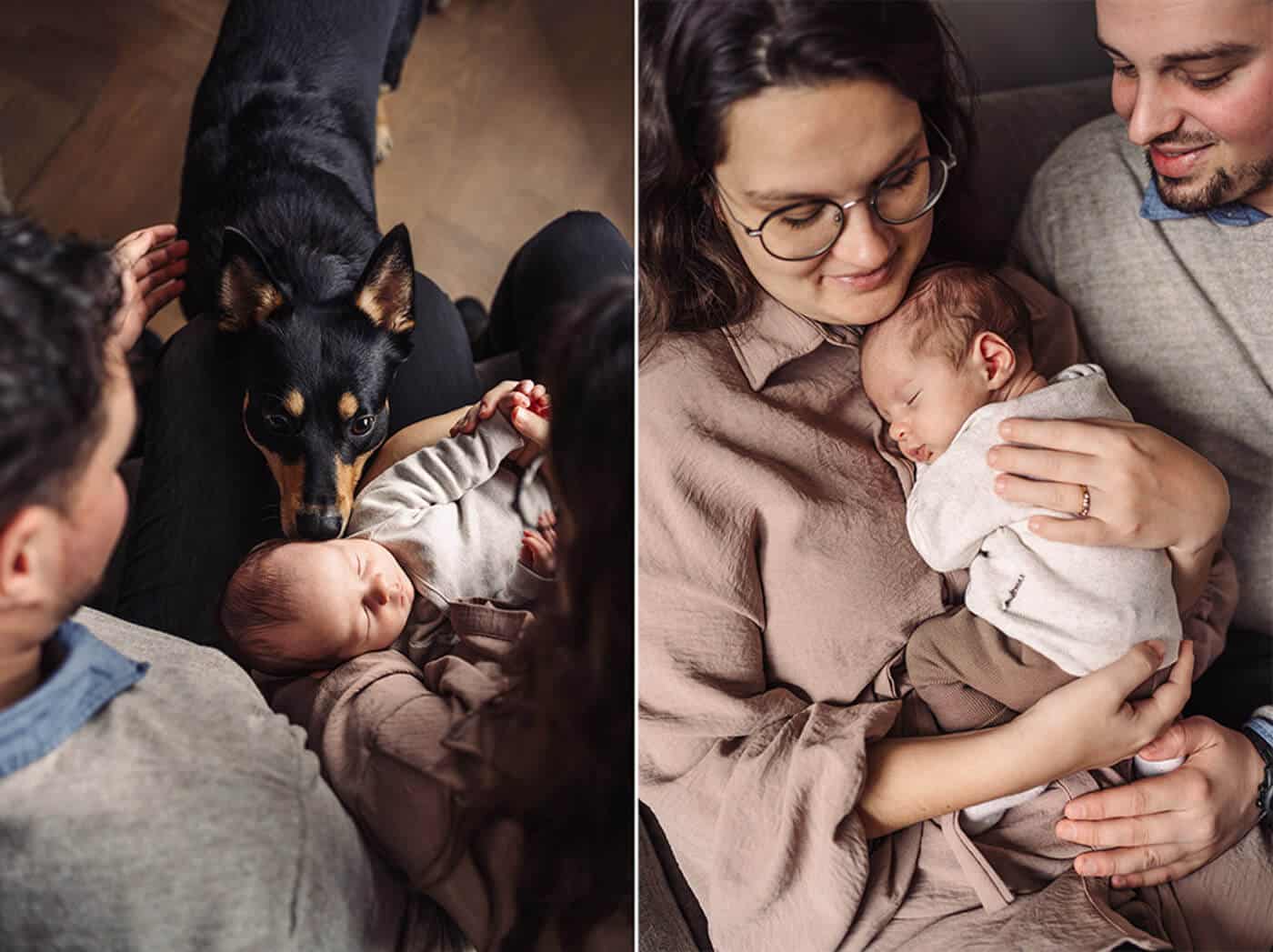ik-wil-mijn-hond-betrekken-bij-de-newbornshoot