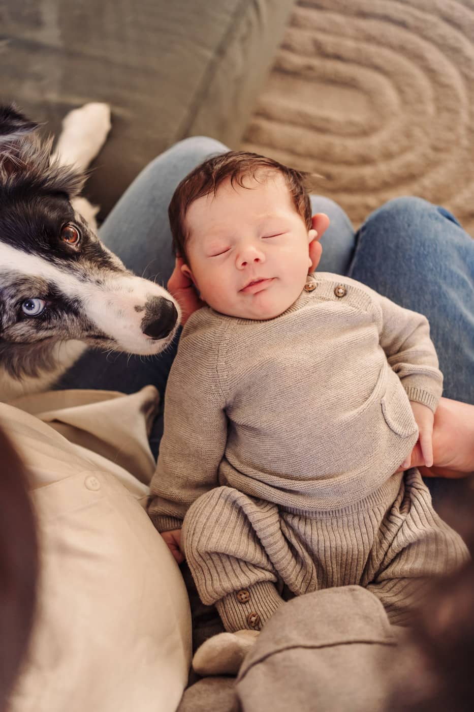 mag onze hond meedoen met newbornshoot
