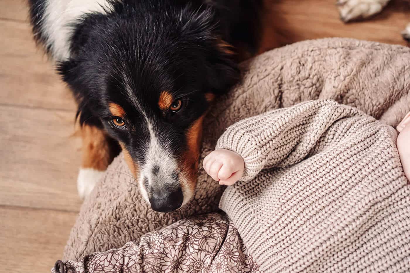 newbornshoot-met-hond-kan-dat