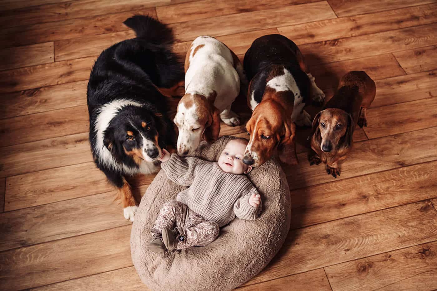 newbornshoot-met-hond-limburg-newbornshoot-met-honden