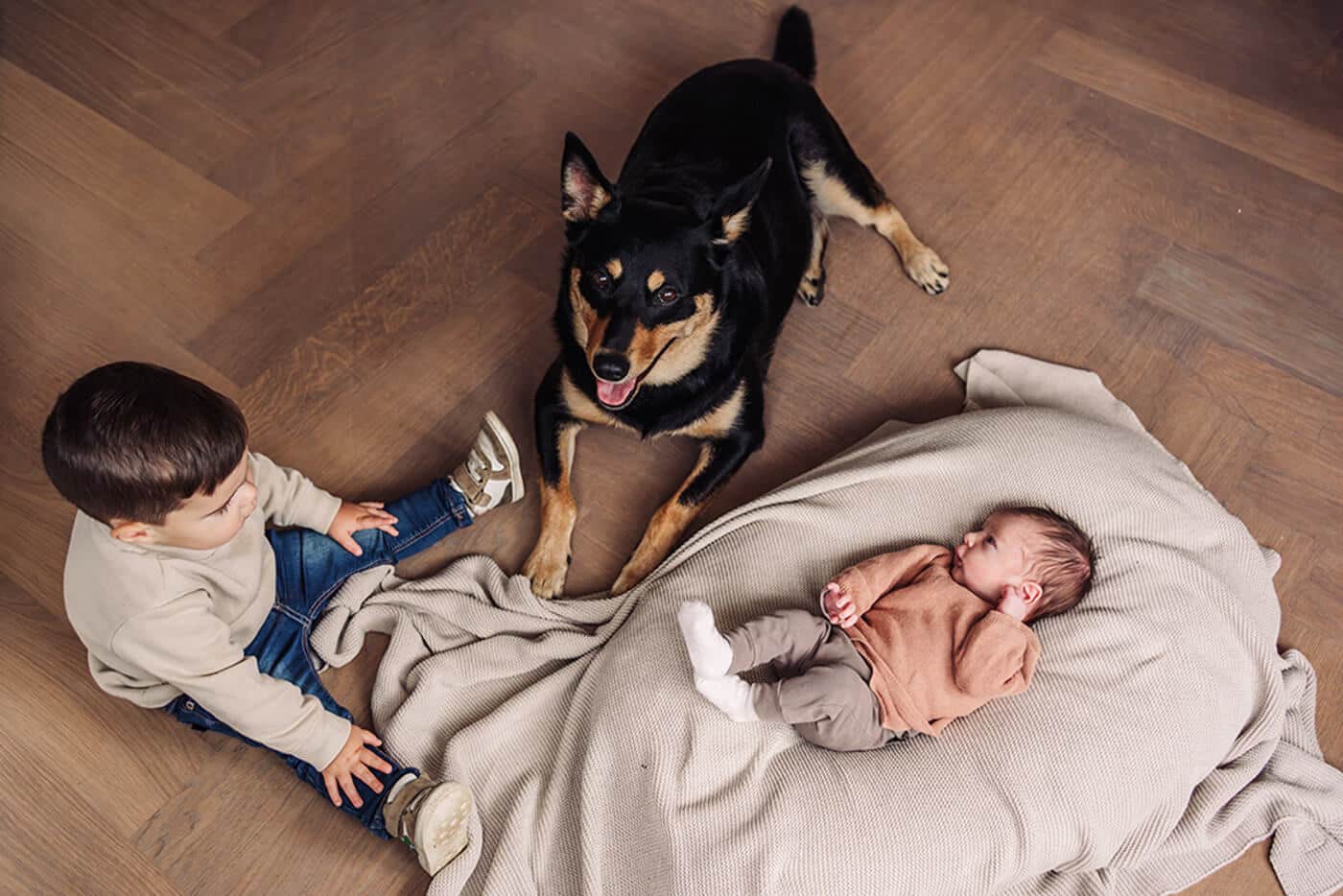 newbornshoot-met-hond-newborn-fotograaf-limburg